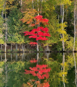 Fall color reflection on Fortune Lake in Iron County