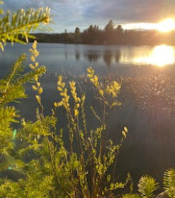 Lake between Crystal Falls and Iron River Michigan